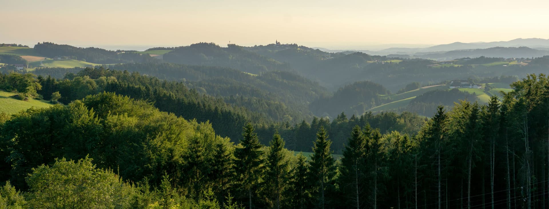 Confía en nuestra empresa de limpieza para cuidar del medioambiente