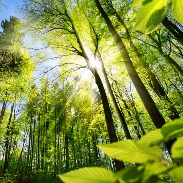 Empresa de limpieza en Vigo comprometida con el medioambiente