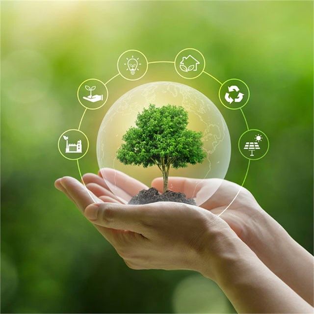 Máximo compromiso con el medioambiente